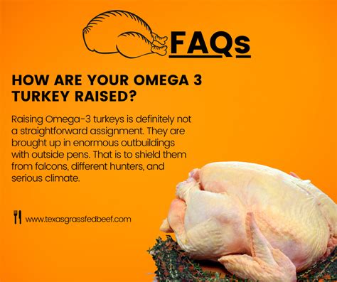 slanker omega 3 turkey.